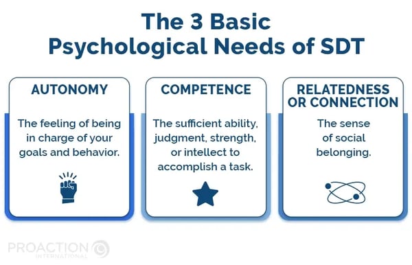 3 basic psychological needs of SDT