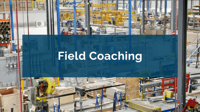 Performance Insight Blog | Proaction International | Adeline de Oliveira